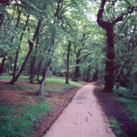 Hampstead Heath, Highgate England